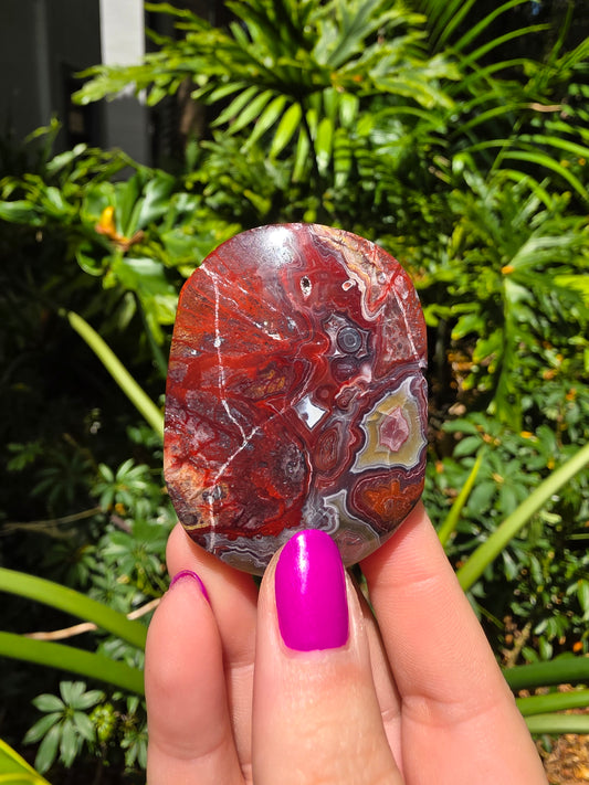 Red Crazy Lace Agate Palm Stone • Option HH