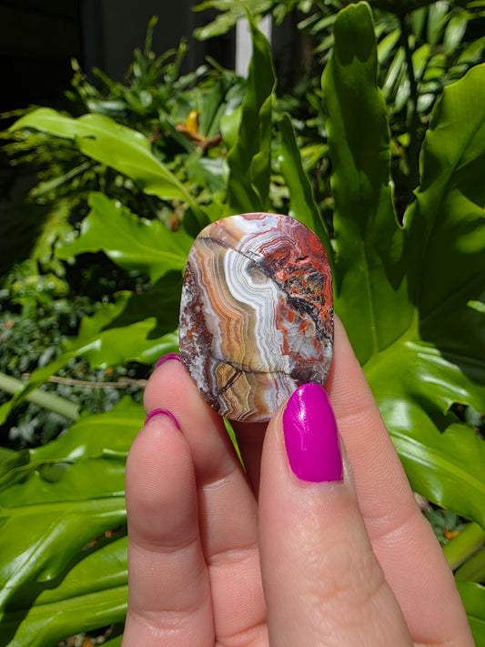 Red Mexican Crazy Lace Agate Palm Stone [I]