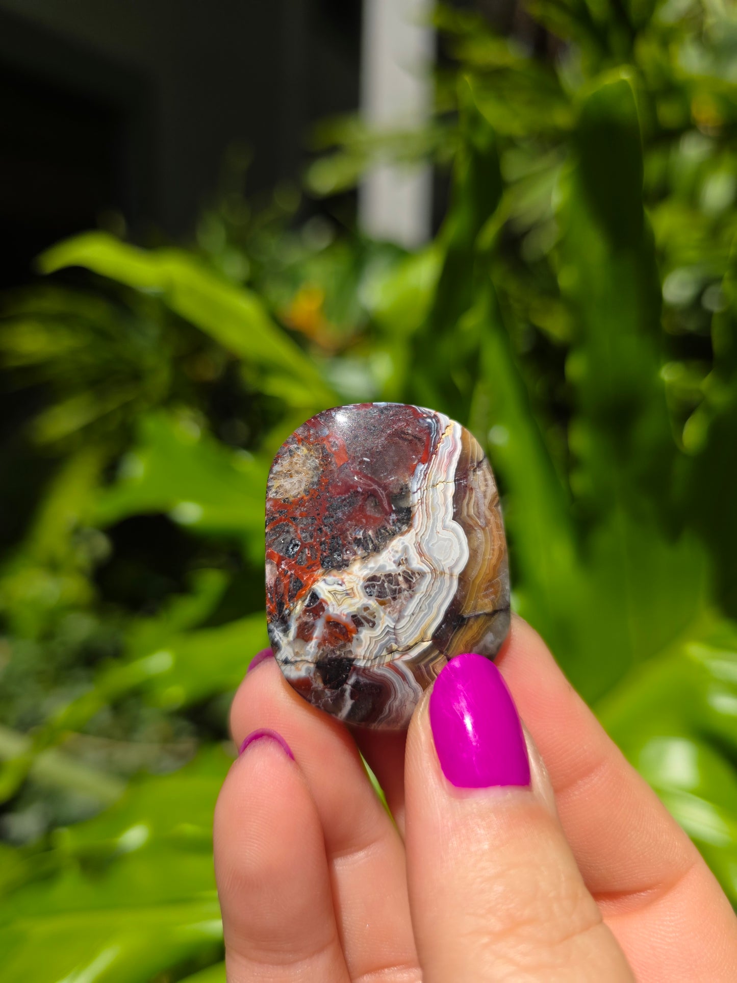 Red Mexican Crazy Lace Agate Palm Stone [I]