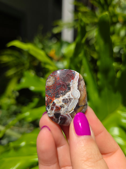 Red Crazy Lace Agate Palm Stone • Option I