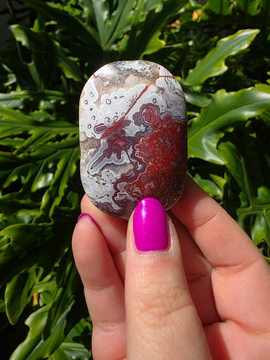 Red Mexican Crazy Lace Agate Palm Stone [II]