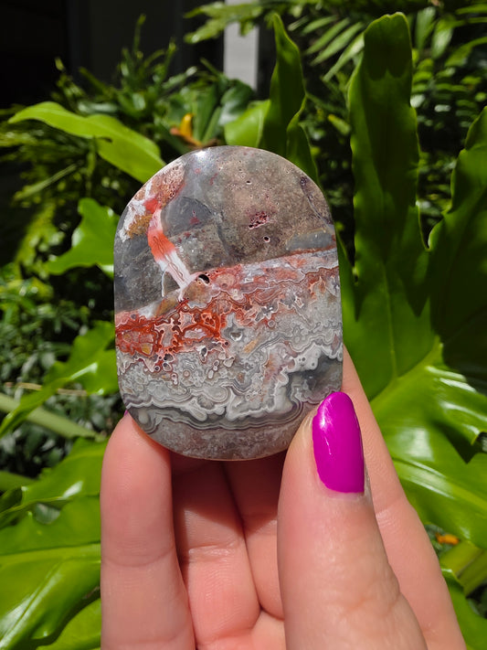 Red Mexican Crazy Lace Agate Palm Stone [J]