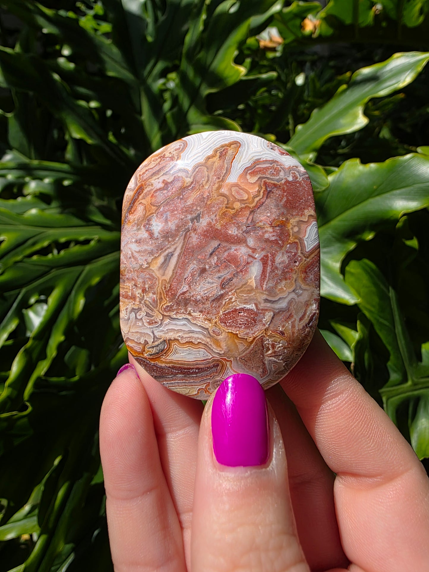 Red Mexican Crazy Lace Agate Palm Stone [JJ]