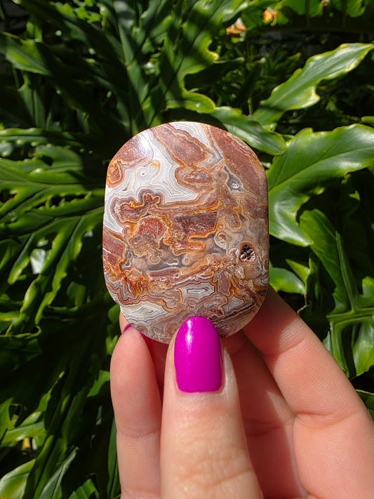 Red Crazy Lace Agate Palm Stone • Option JJ
