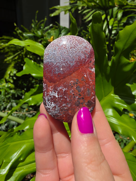 Red Mexican Crazy Lace Agate Palm Stone [K]