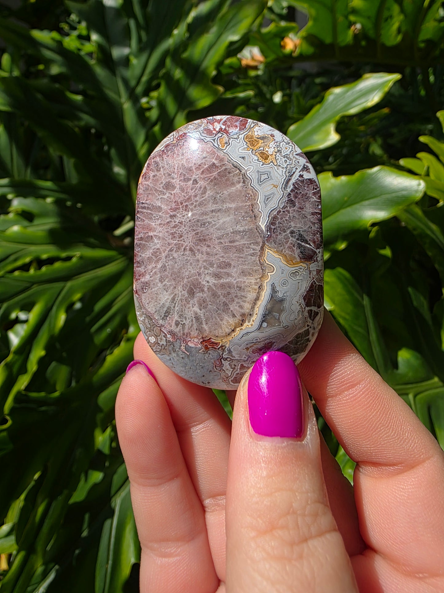 Red Mexican Crazy Lace Agate Palm Stone [KK]