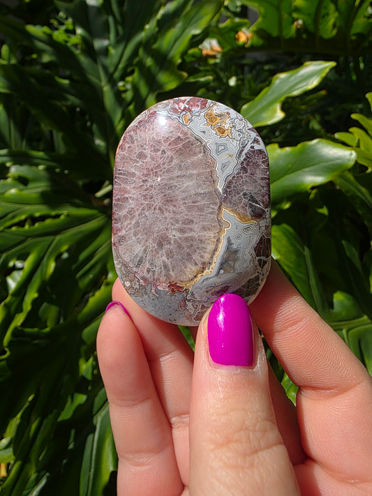Red Mexican Crazy Lace Agate Palm Stone [KK]