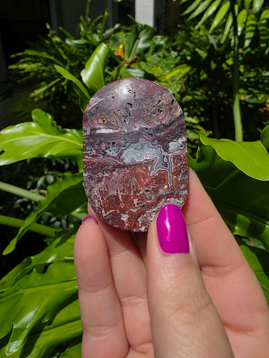 Red Mexican Crazy Lace Agate Palm Stone [L]