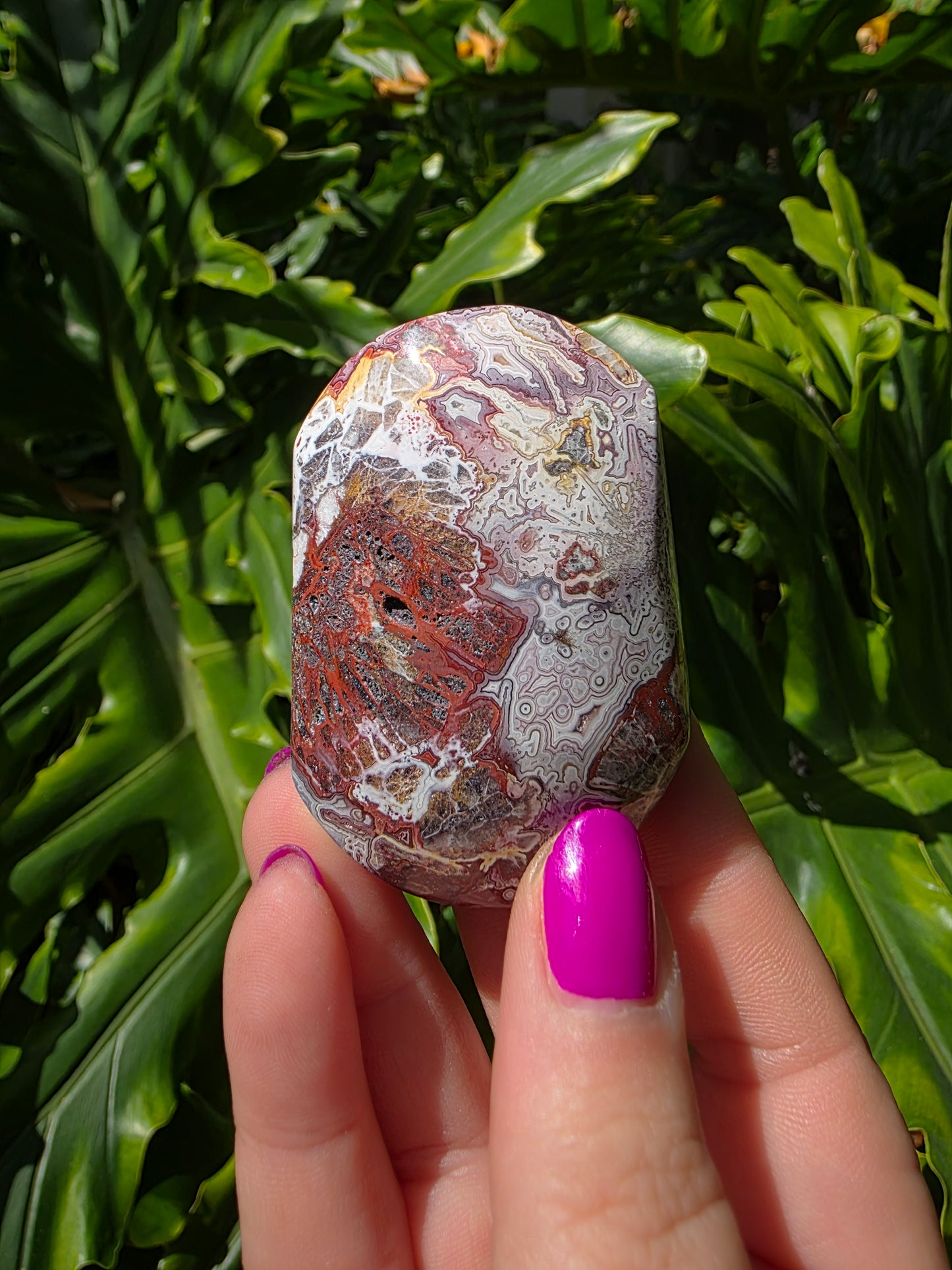Red Mexican Crazy Lace Agate Palm Stone [LL]