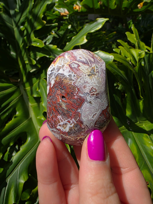 Red Mexican Crazy Lace Agate Palm Stone [LL]