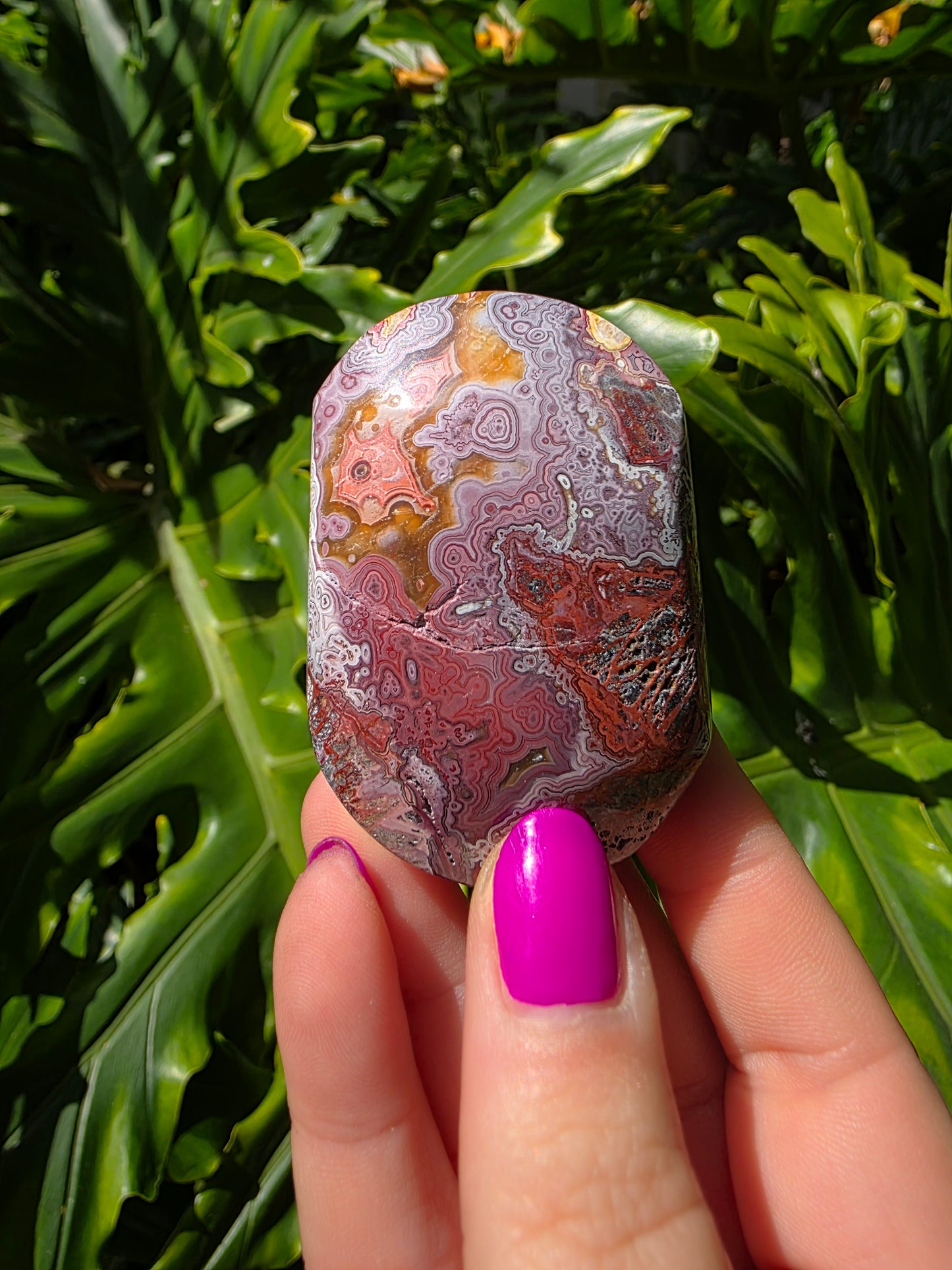 Red Mexican Crazy Lace Agate Palm Stone [LL]