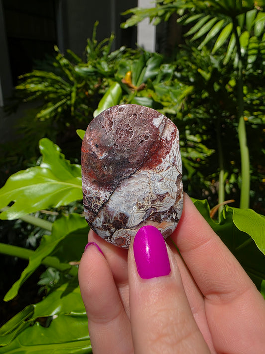 Red Mexican Crazy Lace Agate Palm Stone [M]