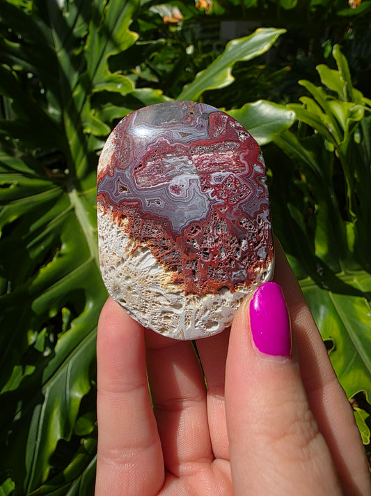 Red Mexican Crazy Lace Agate Palm Stone [MM]
