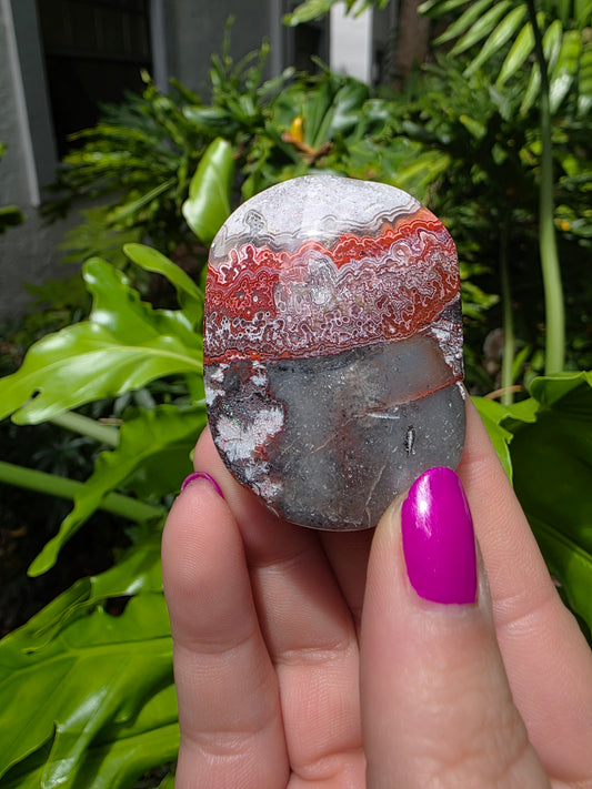 Red Mexican Crazy Lace Agate Palm Stone [O]
