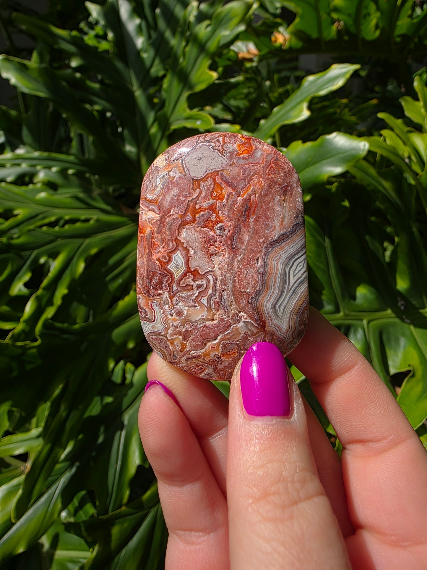 Red Mexican Crazy Lace Agate Palm Stone [OO]