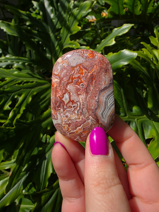 Red Mexican Crazy Lace Agate Palm Stone [OO]