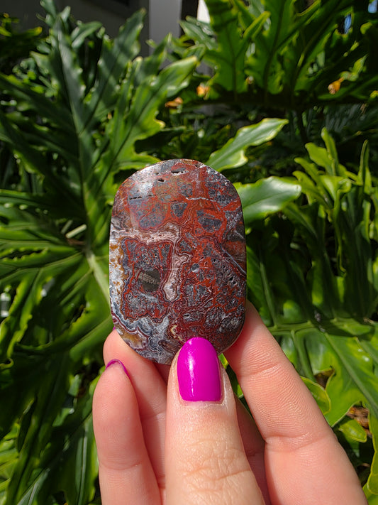 Red Mexican Crazy Lace Agate Palm Stone [PP]