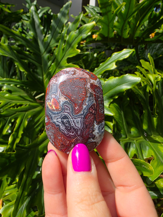 Red Crazy Lace Agate Palm Stone • Option PP