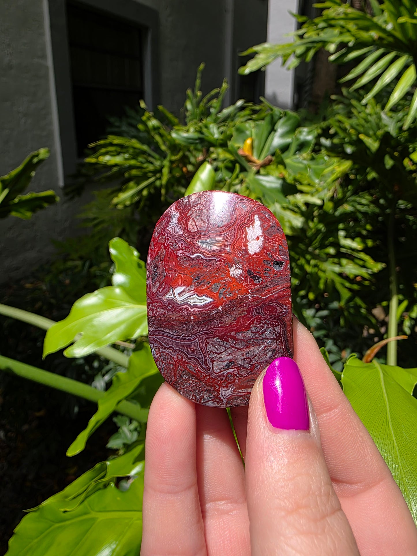 Red Mexican Crazy Lace Agate Palm Stone [Q]
