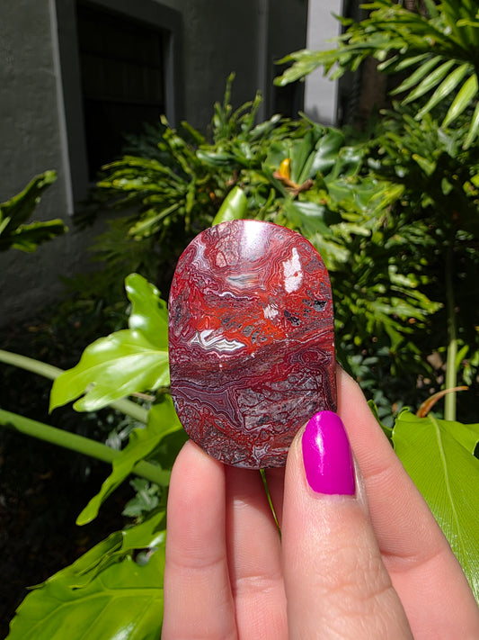 Red Mexican Crazy Lace Agate Palm Stone [Q]