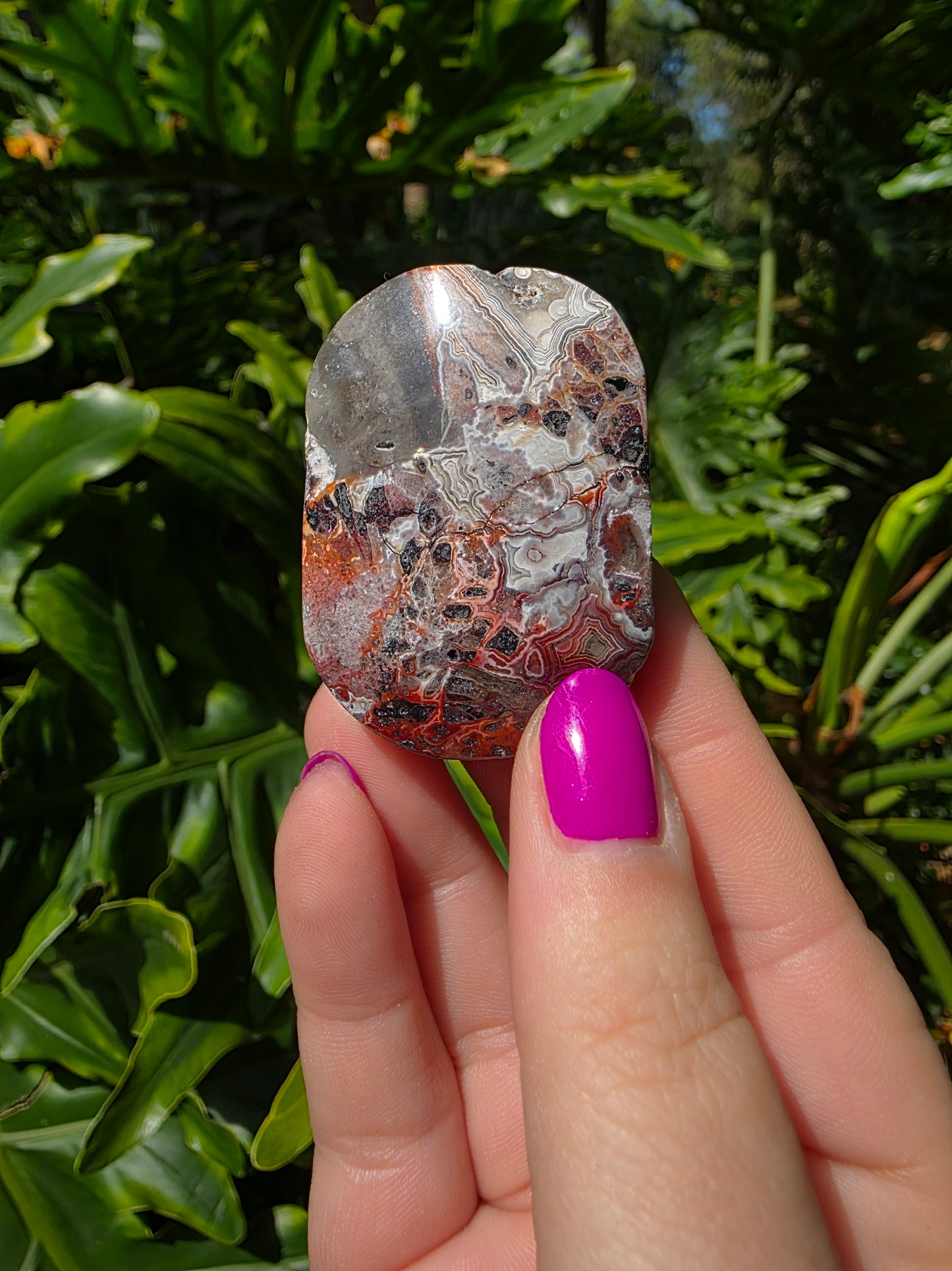 Red Mexican Crazy Lace Agate Palm Stone [QQ]