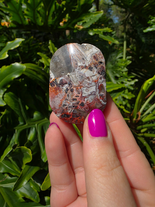 Red Mexican Crazy Lace Agate Palm Stone [QQ]