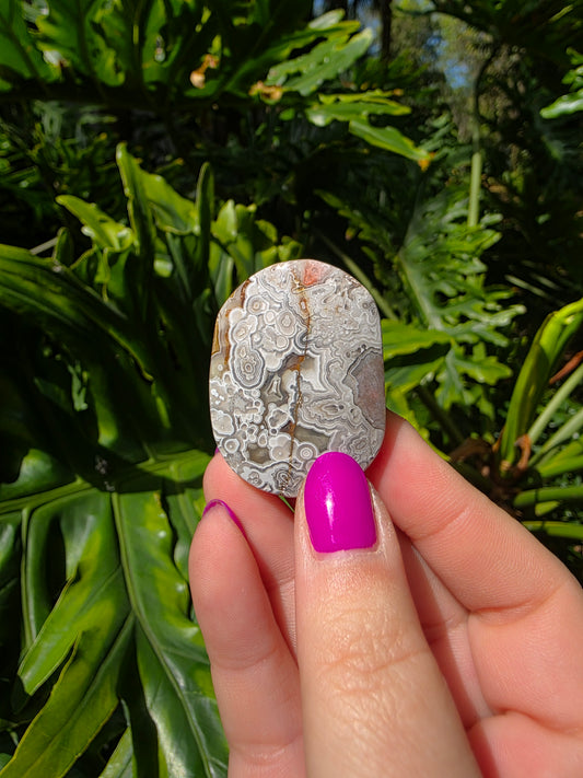 Red Mexican Crazy Lace Agate Palm Stone [RR]