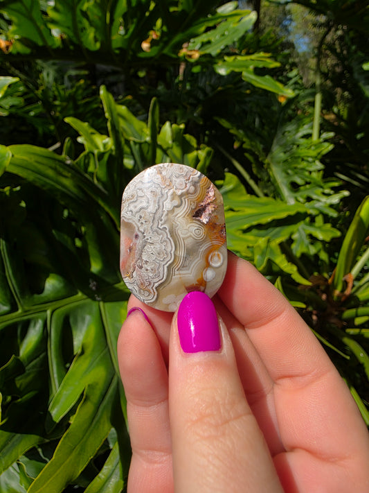 Red Crazy Lace Agate Palm Stone • Option RR