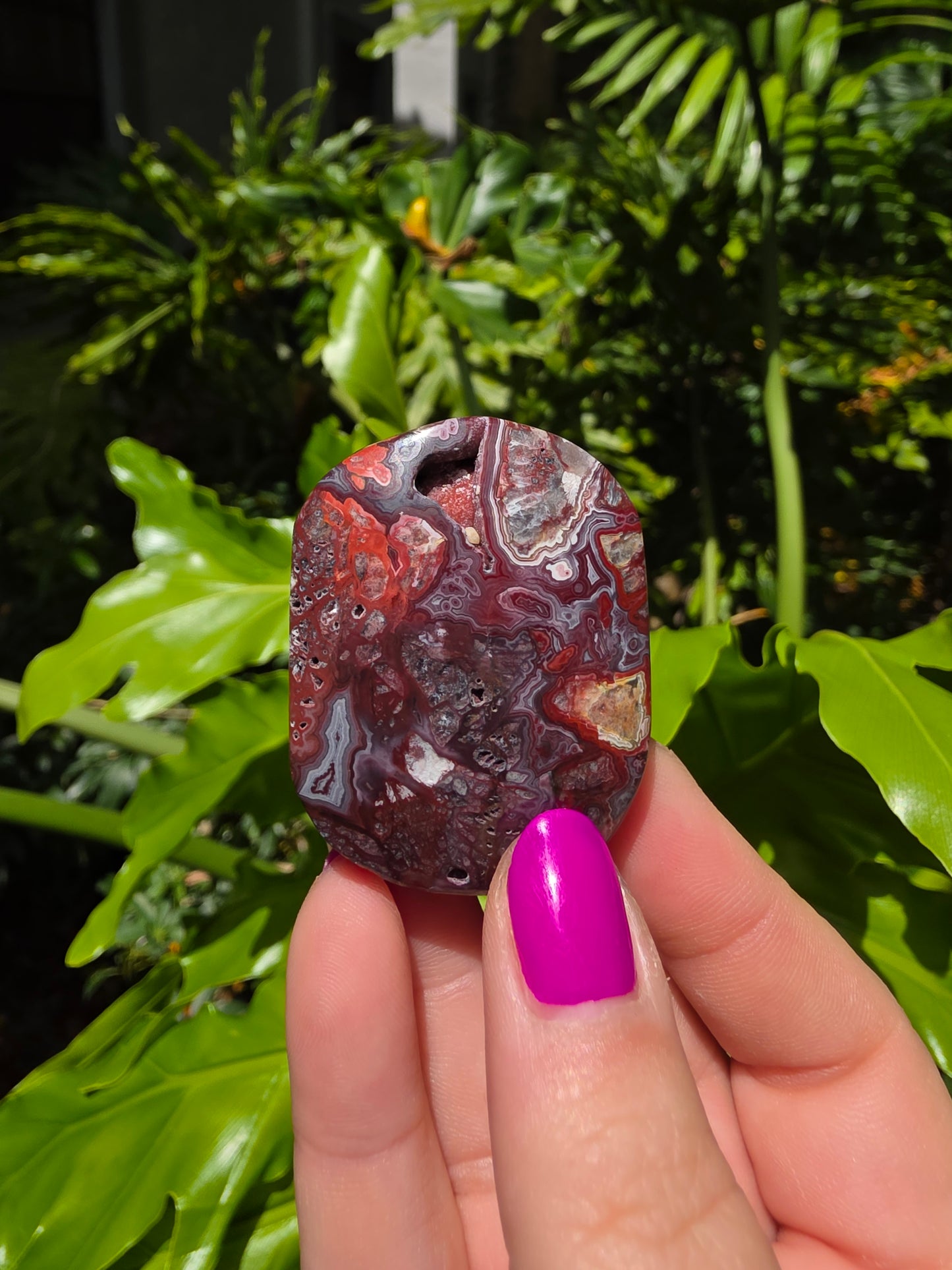Red Mexican Crazy Lace Agate Palm Stone [S]