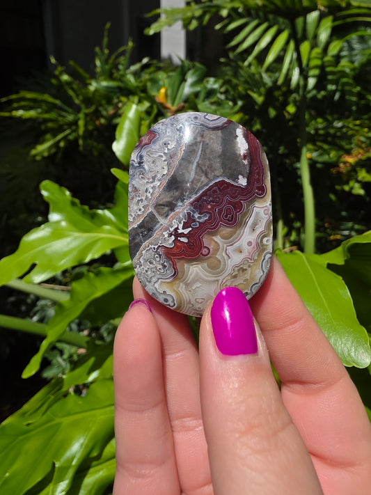 Red Mexican Crazy Lace Agate Palm Stone [T]