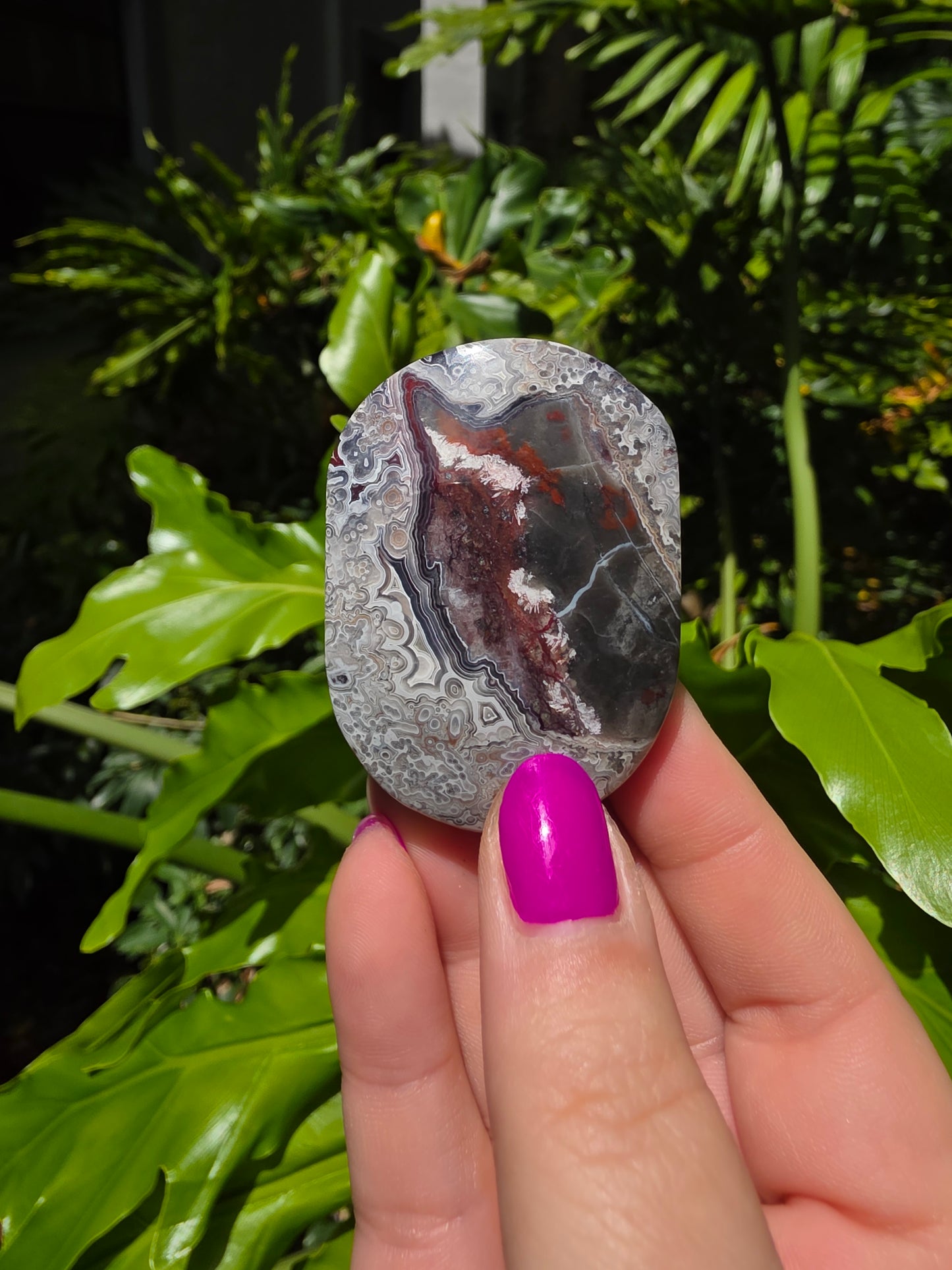 Red Mexican Crazy Lace Agate Palm Stone [T]