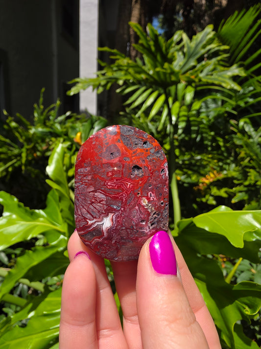 Red Mexican Crazy Lace Agate Palm Stone [U]