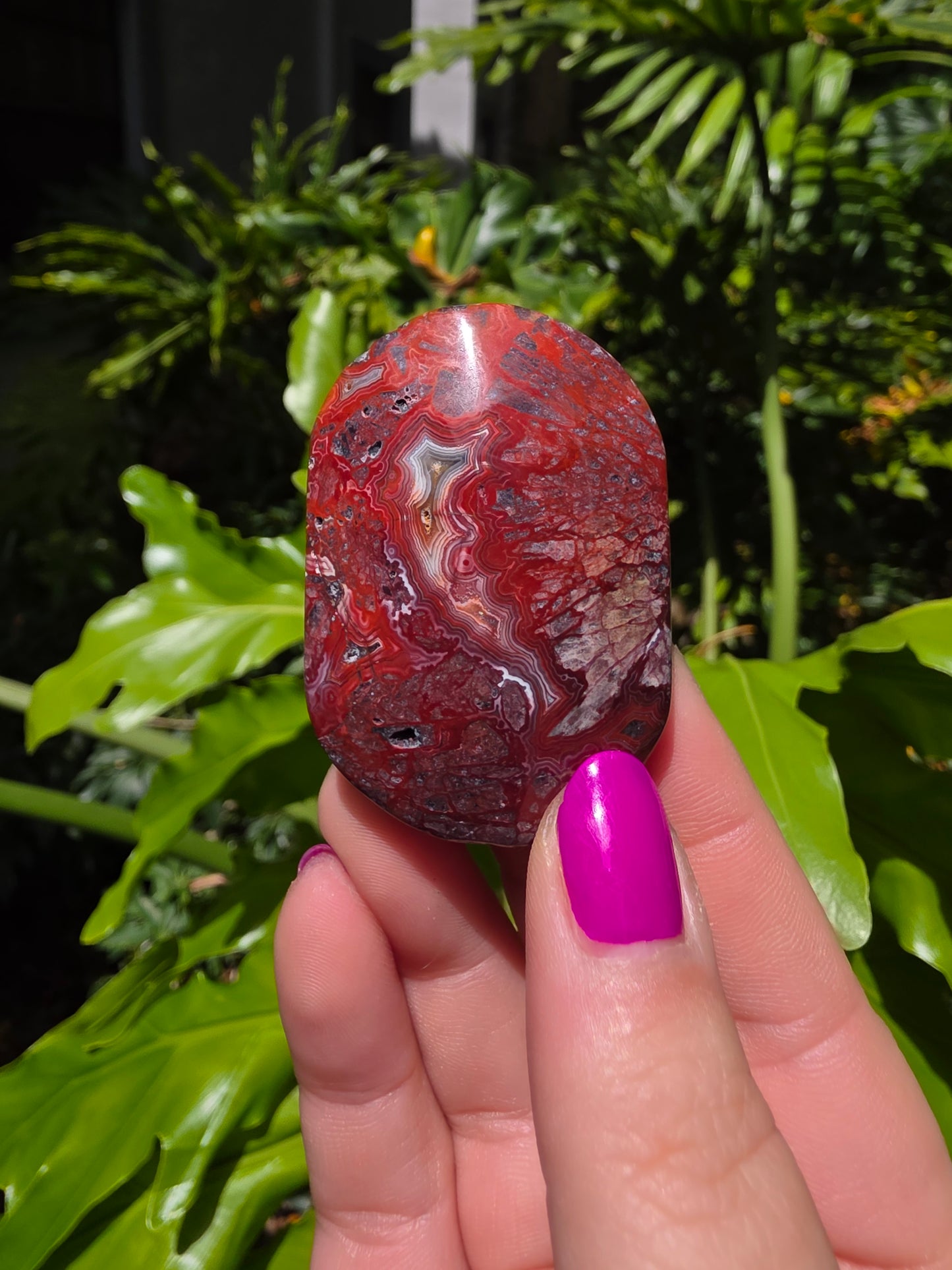 Red Mexican Crazy Lace Agate Palm Stone [U]