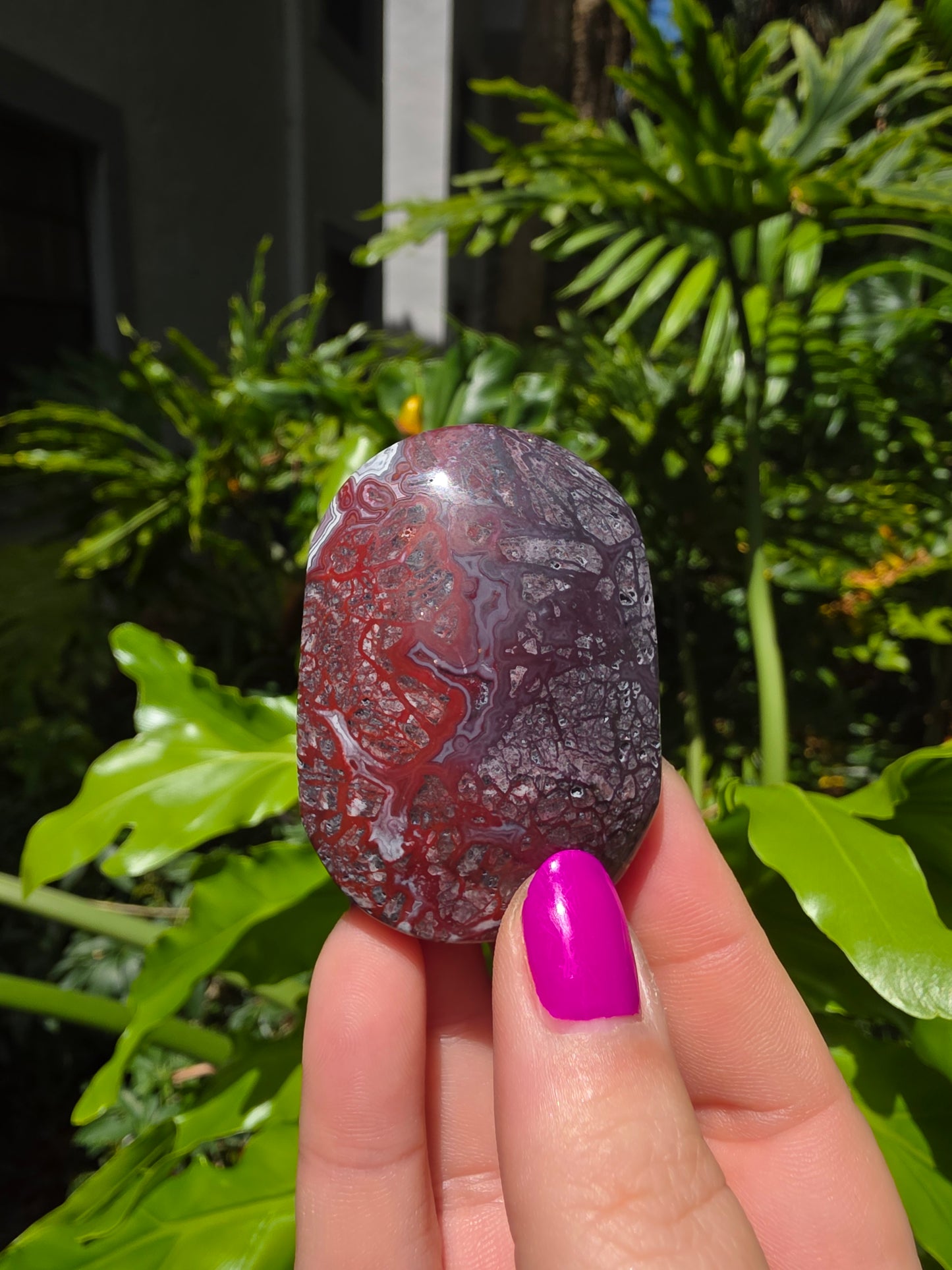 Red Mexican Crazy Lace Agate Palm Stone [V]