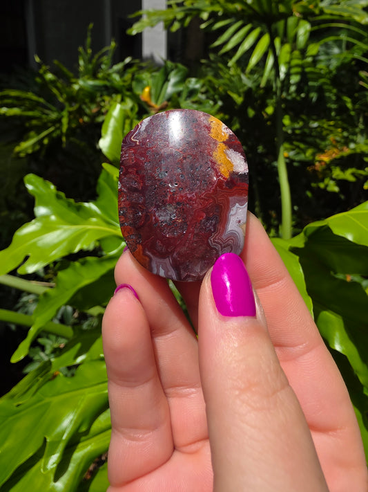 Red Mexican Crazy Lace Agate Palm Stone [W]