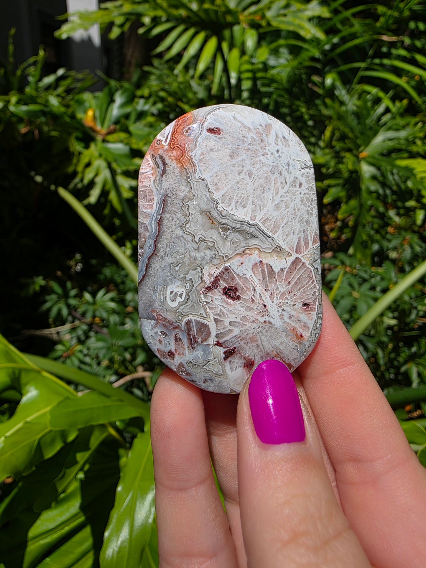 Red Mexican Crazy Lace Agate Palm Stone [X]
