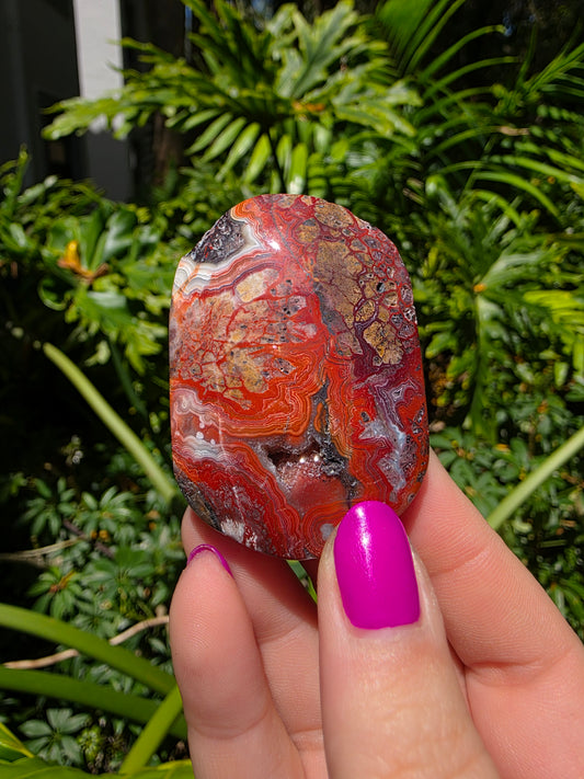 Red Mexican Crazy Lace Agate Palm Stone [Y]