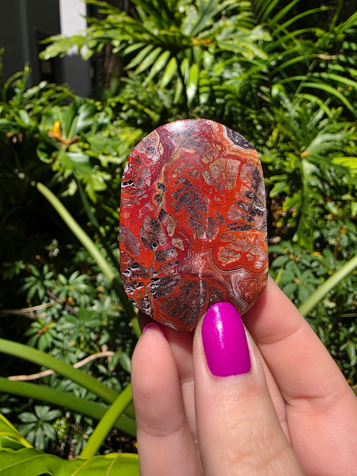 Red Mexican Crazy Lace Agate Palm Stone [Y]