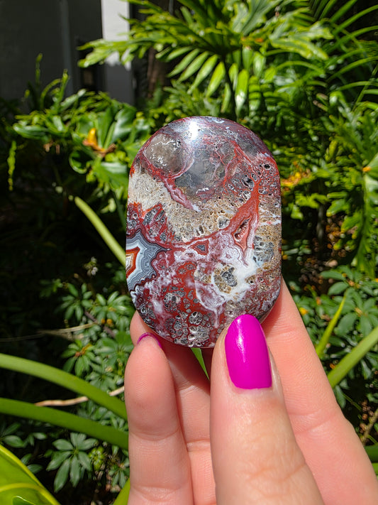 Red Mexican Crazy Lace Agate Palm Stone [Z]