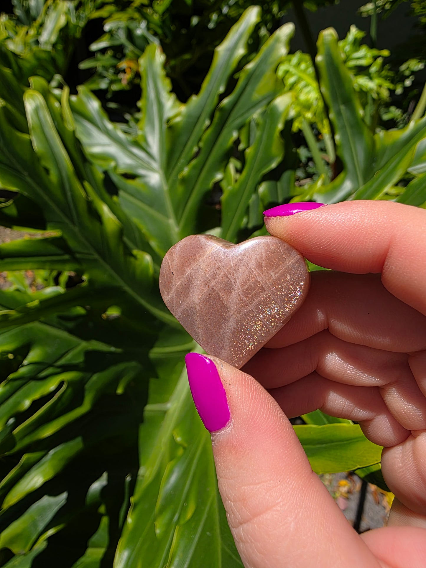Sunstone Heart [C]