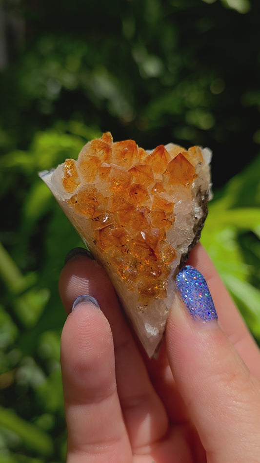 Citrine Cluster • Option N • Brazil • Heat-Treated