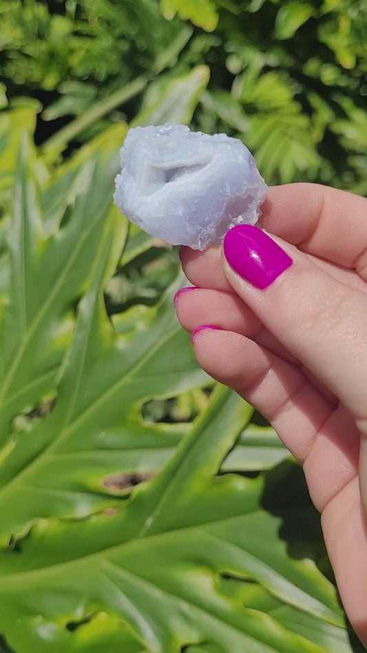 Blue Lace Agate Specimen • Option B