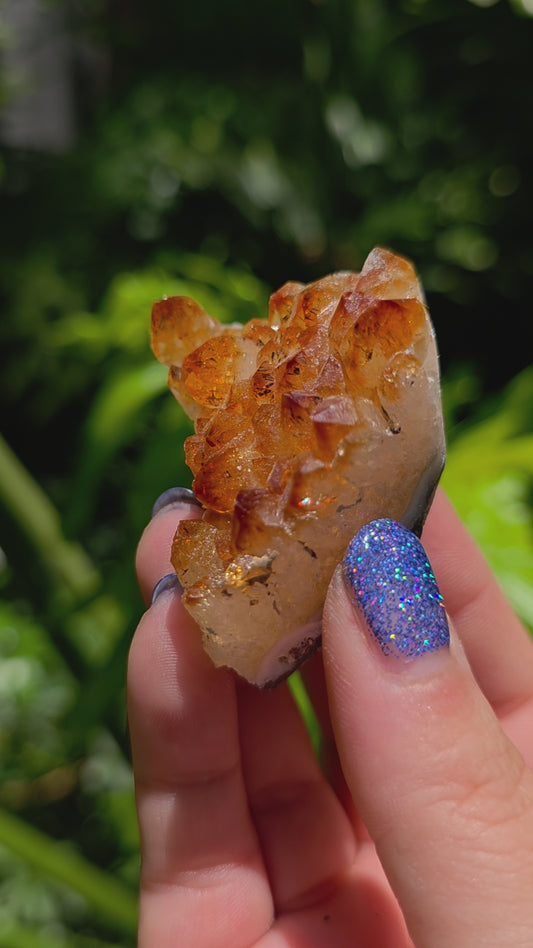 Citrine Cluster • Option M • Brazil • Heat-Treated
