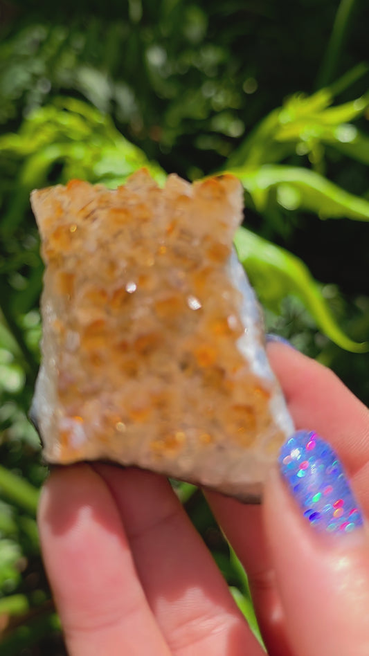 Citrine Cluster • Option I • Brazil • Heat-Treated