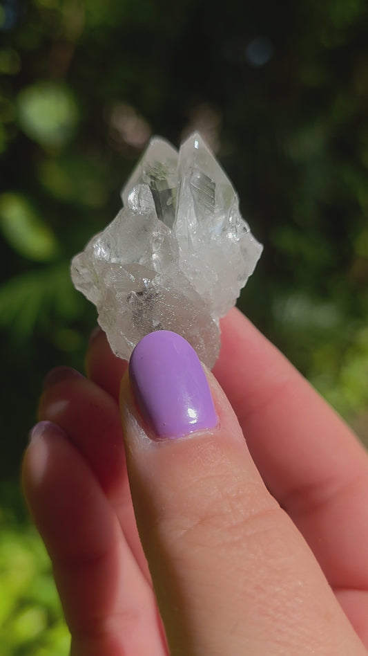 Clear Quartz Cluster • Option T • Brazil