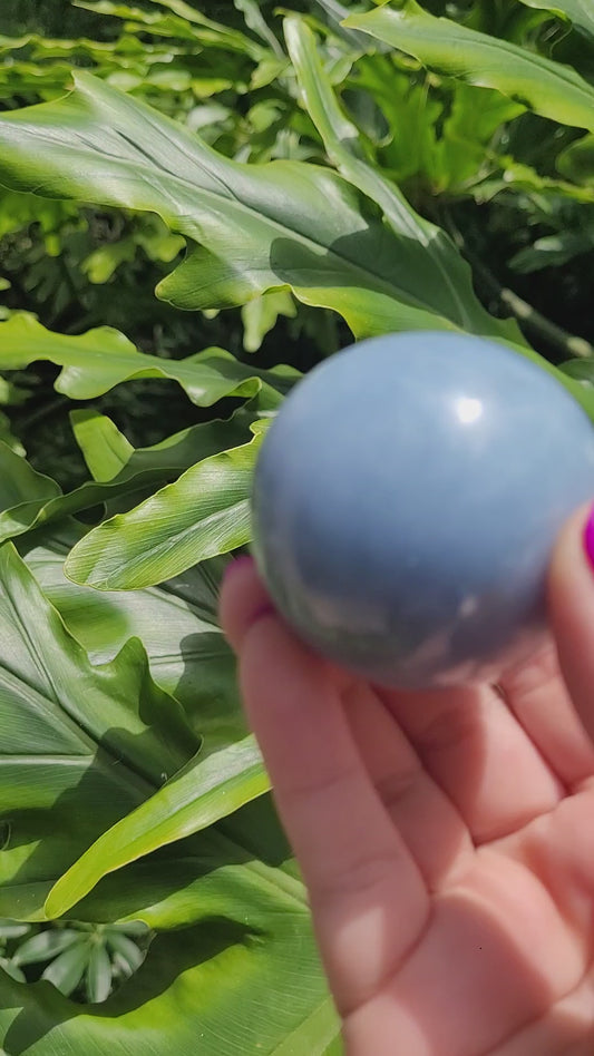Angelite Sphere • Option A