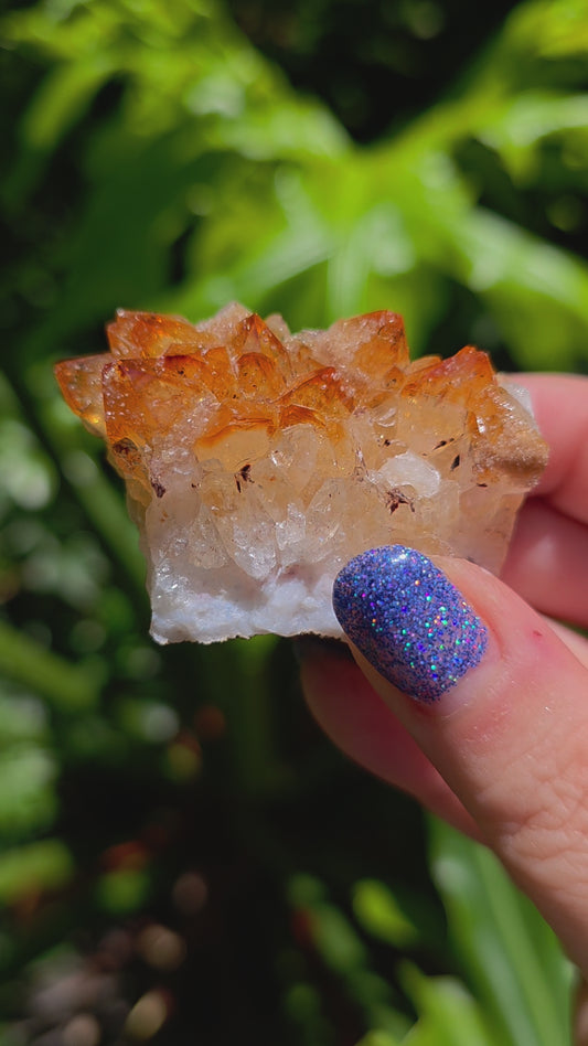 Citrine Cluster • Option D • Brazil • Heat-Treated