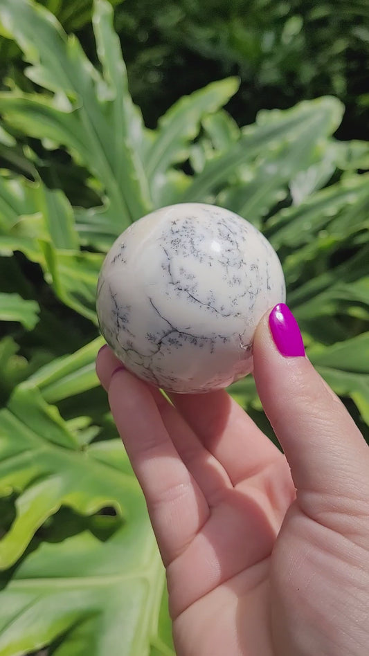 Dendritic Opal Sphere • Option E