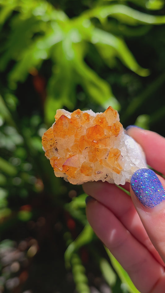 Citrine Cluster • Option B • Brazil • Heat-Treated