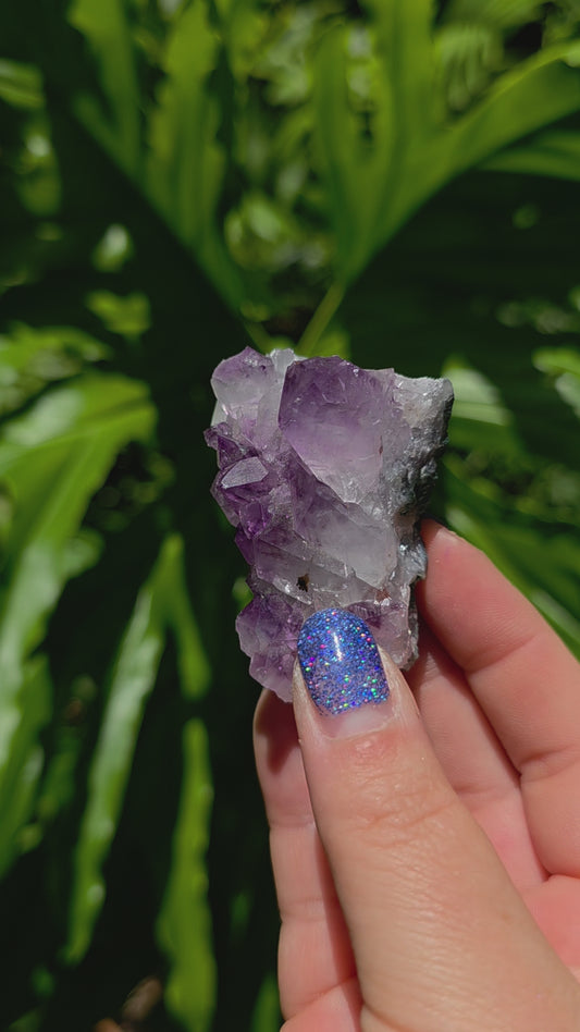 Amethyst Cluster • Option J • Brazil